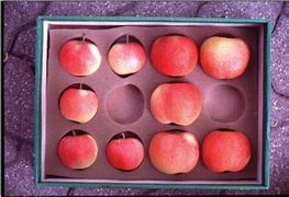 Image result for Half Apples Compare