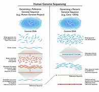 Image result for Full Human Genome