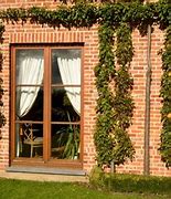 Image result for Espalier Fruit Tree Supports