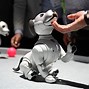 Image result for Aibo Robot Cat