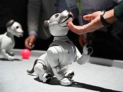 Image result for Robot Cats and Dogs