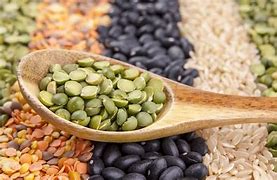 Image result for Legume