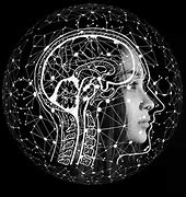 Image result for Memory Facts About the Brain