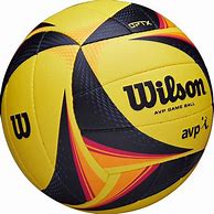 Image result for Wilson AVP Beach Volleyball