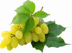 Image result for Green Grapes PNG