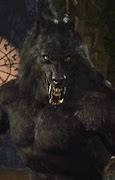 Image result for Van Helsing Werewolf Form