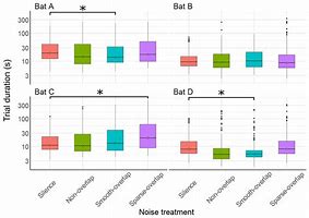 Image result for Bat Toy Noise