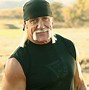 Image result for Hulk Hogan No Bandana