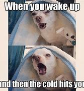 Image result for That's Cold Meme