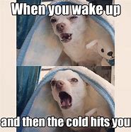 Image result for Cold Memes Funny