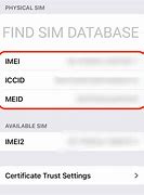 Image result for IMEI and Iccid iPhone