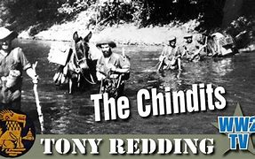 Image result for chindq