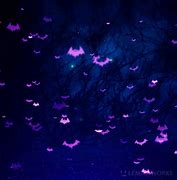 Image result for Purple Bat I