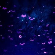 Image result for Bats Night Wallpaper