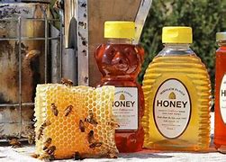 Image result for Local Honey Green Bay WI