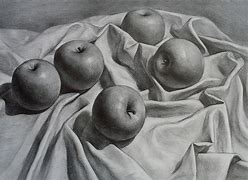 Image result for Still Life Black and White Sketches