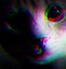 Image result for Trippy Cartoon Cat