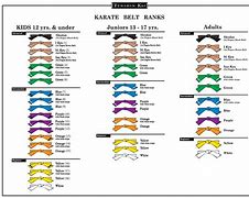 Image result for Karate Belt System