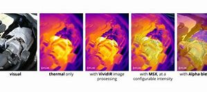 Image result for Thermal Imaging My Cat