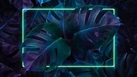 Image result for Neon Leaf Wallpaper 4K