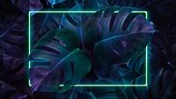 Image result for Plant Wallpaper Desktop Neon