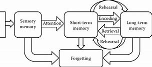 Image result for Explains the Theory of Memory