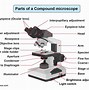 Image result for Nikon Microscope Parts