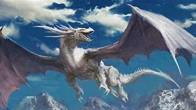 Image result for Dnd Dragon Flying