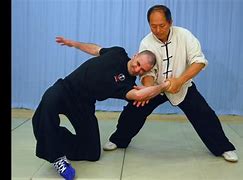 Image result for Tai Chi as a Martial Art