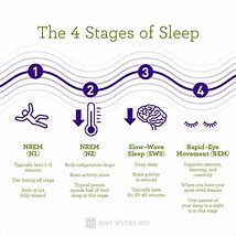 Image result for Stage 1 Sleep Waves