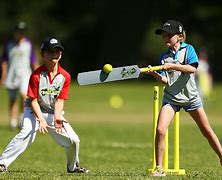 Image result for Cricket Activities for Kids