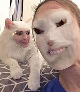 Image result for Cursed Cat Meme 1080X1080