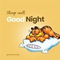 Image result for Good Night Dog Meme