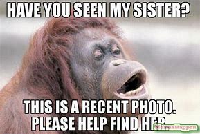 Image result for Memes About Sisters