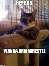 Image result for Muscle Cat Meme