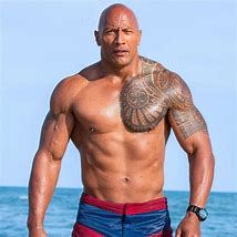 Image result for The Rock