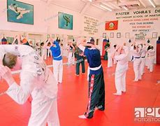 Image result for Martial Arts Master