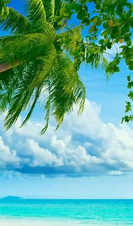 Image result for iPhone Beach Password Enter Wallpaper