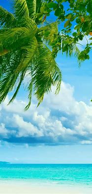 Image result for Beach iPhone Wallpaper Simple