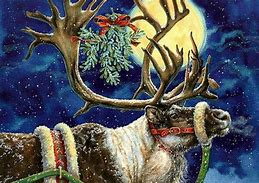 Image result for Christmas Animals