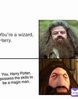 Image result for Harry Potter Wizard Meme