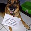 Image result for You Are Awesome Dog Meme
