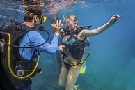 Image result for Rosvo Scuba