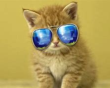 Image result for Awesome Cute Wallpapers