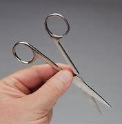 Image result for Speedy Sharp Scissors