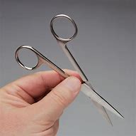 Image result for Sharp Surgical Scissors