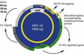 Image result for HPV Dots