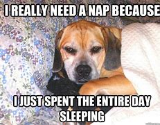 Image result for You Need a Nap Meme