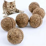 Image result for Catnip Toys