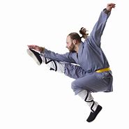 Image result for Kung Fu Fighter